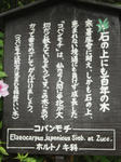 2011_0504_135456-CIMG1320.JPG