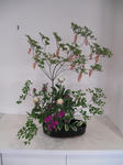 2011_0522_115112-CIMG1470.JPG