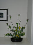 2011_0512_205724-CIMG1386.JPG