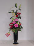 2011_0626_141516-CIMG1823.JPG