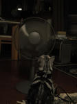 31a8fd38.jpg
