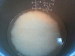 NEC_0562.JPG