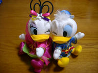 IMGP0371.JPG