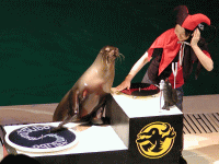dhs2-9.gif