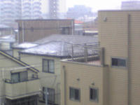Image151.jpg
