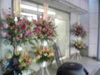 9a8583e2.jpg