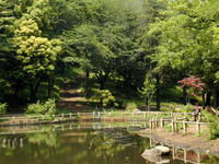 yjidy03m.jpg