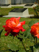 eiren06m.jpg