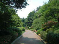 eirenpou0301.jpg