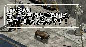 105.jpg