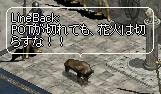 106.jpg