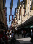IMGP6800.JPG