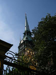 IMGP6792.JPG