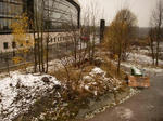 IMGP7959.JPG