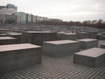 IMGP9103.JPG