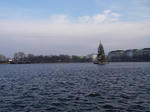 IMGP9293.JPG