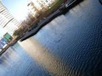 IMGP9423.JPG