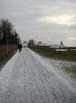 IMGP9486.JPG