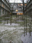 IMGP9487.JPG
