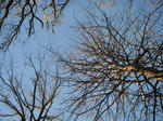 IMGP9824.JPG