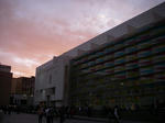 IMGP0111.JPG