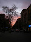 IMGP0112.JPG