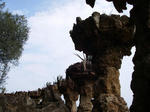 IMGP0167.JPG