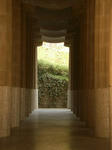 IMGP0208.JPG