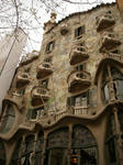 IMGP0231.JPG
