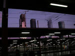 IMGP0362.JPG