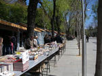 IMGP0390.JPG