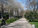 IMGP0399.JPG