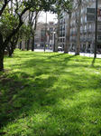 IMGP0403.JPG