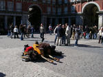 IMGP0437.JPG