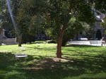 IMGP0376.JPG