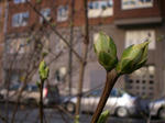 IMGP0784.JPG
