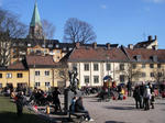 IMGP0782.JPG
