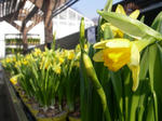 IMGP0853.JPG