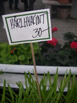 IMGP0856.JPG