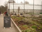 IMGP0860.JPG