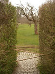 IMGP0868.JPG