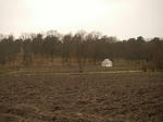 IMGP0872.JPG