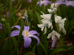 IMGP0882.JPG