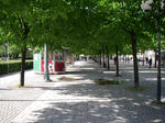 IMGP1843.JPG