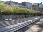 IMGP1909.JPG