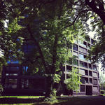 MillerMaranta_Schwarzpark1.JPG