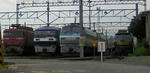 DCF_0010c.jpg