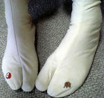 080521d.JPG