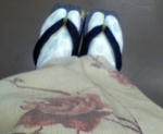 080714c.JPG