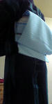 080823e.JPG
